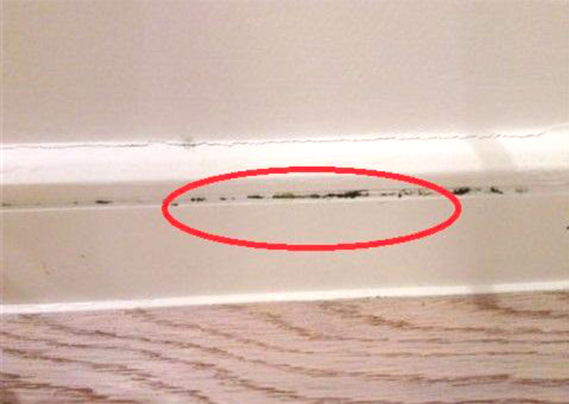 Les plinthes en PVC peuvent-elles être résistantes à la moisissure ?
