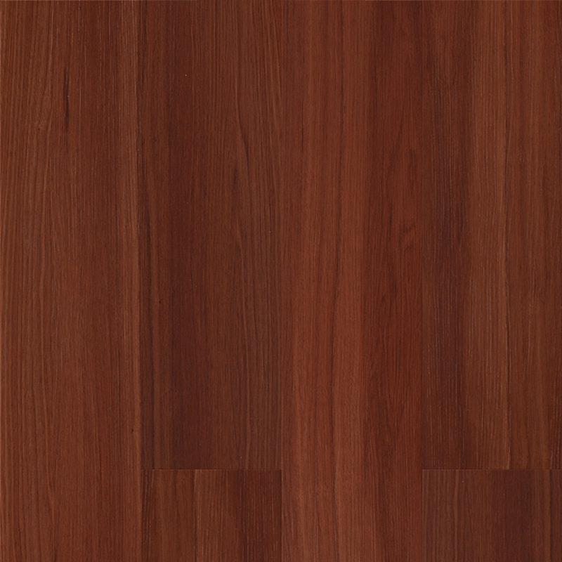 Sol SPC r&eacute;sistant &agrave; l'humidit&eacute;