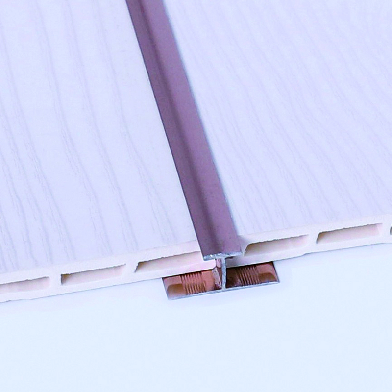 Bande de transition int&eacute;rieure en forme de T 