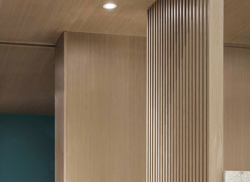 int&eacute;rieur du panneau mural wpc