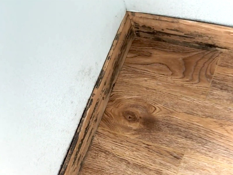 Comment éliminer la moisissure des plinthes ?