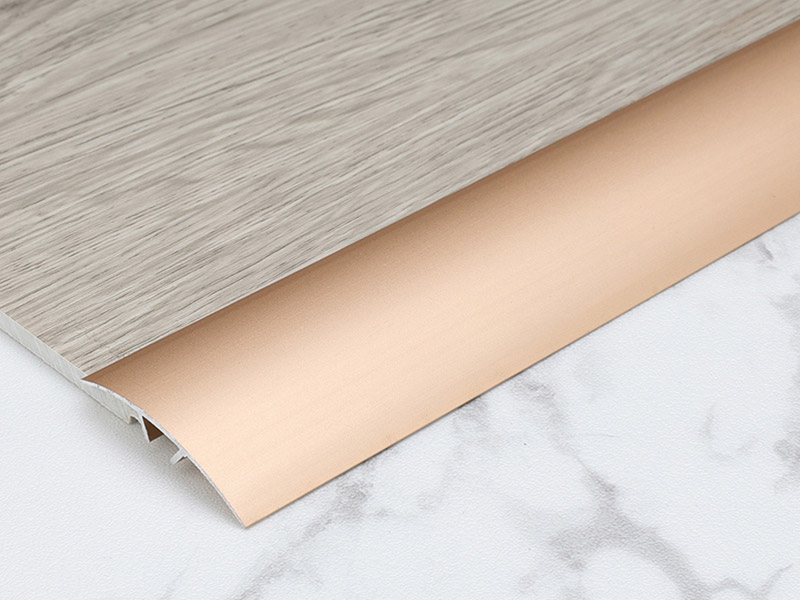 Bande de seuil de porte en m&eacute;tal