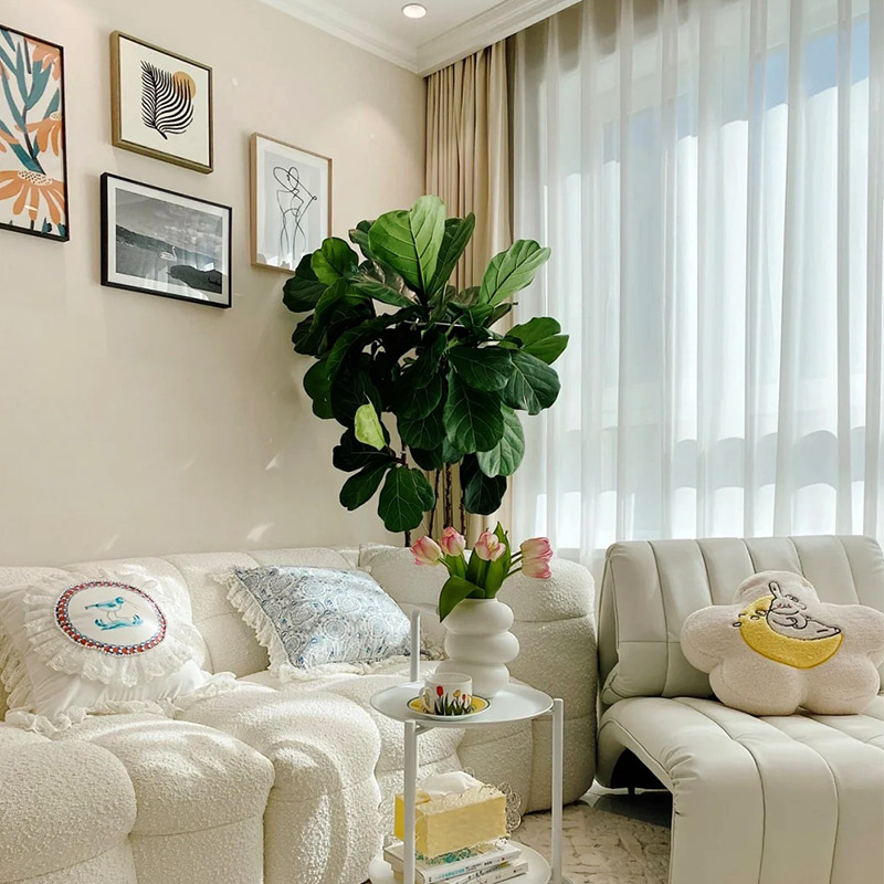 Quels sont les avantages et les inconvénients de la boue de diatomée ?