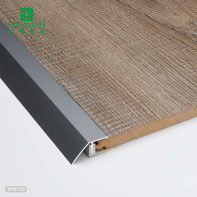 bâti en T en aluminium de 10,8x24,8 mm