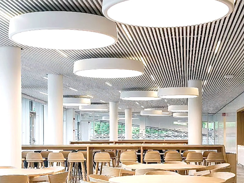 Que sont les panneaux de plafond WPC?