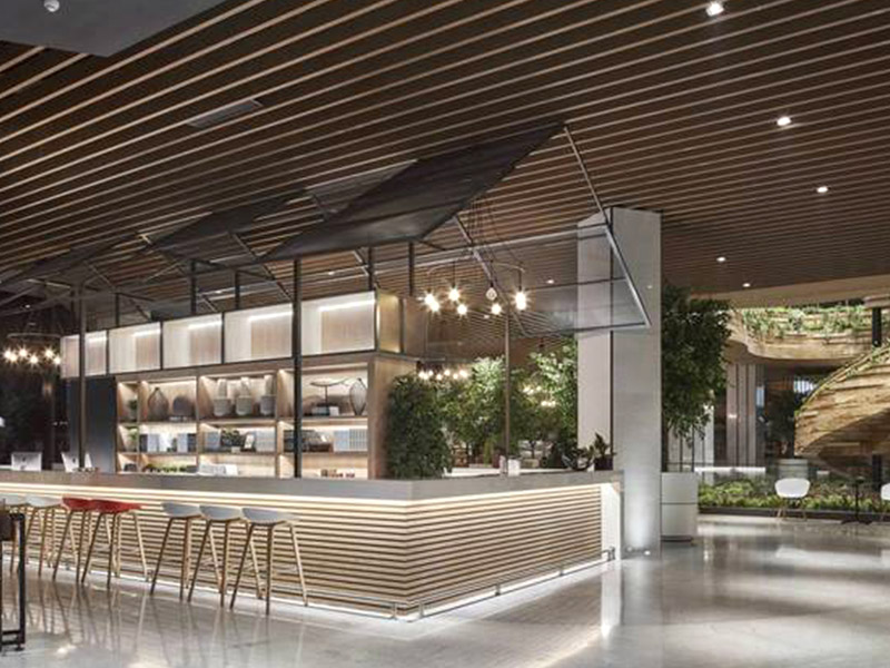 Guide complet des chicanes de plafond