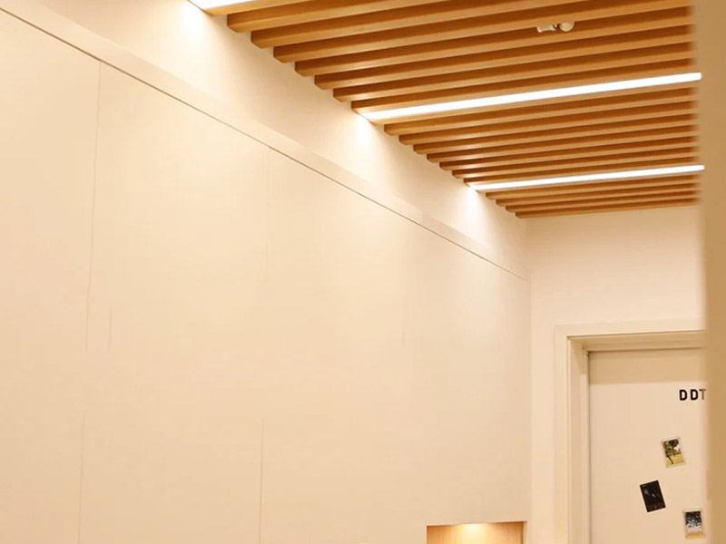 Quel matériau est utilisé pour les plafonds ?