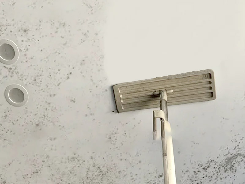 Comment vous débarrasser du moule sur le plafond de la salle de bain?